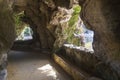 Cave in the Genoves Park, Cadiz, Andalusia, Spain Royalty Free Stock Photo