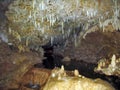 Cave with hanging stalactites and stalagmites on rocks, Barbados Island.
