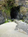 Cave at Heceta Head Lighthouse State Scenic Viewpo