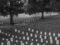 Cave Hill Cemetery Civil War Gravestones