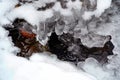 Cave of ice , frozen water , icicles on water