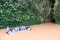 Cave of Indio at the Vinales valley in Cuba