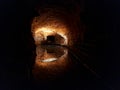 Illuminated underground lake with passageway in River cave, Australia