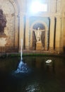 The Cave of Moses in the Amanati Courtyard, the central courtyard of the Pitti Palace in Florence, Italy Royalty Free Stock Photo