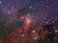 The Cave Nebula