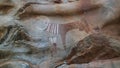 Cave paintings and petroglyphs Laas Geel near Hargeisa closeup Somalia Royalty Free Stock Photo