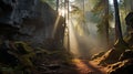 Mystical Sunrise In A Rocky Forest: Capturing The Essence Of Elsa Bleda And Michael Malm Royalty Free Stock Photo
