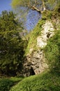 Cave in the rock in the forest during daytime