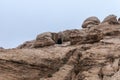 The cave in the rock near the road leading to Petra - the capital of the Nabatean kingdom in Wadi Musa city in Jordan Royalty Free Stock Photo