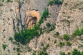 A cave in a sheer cliff