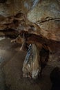 Cave stalagmite formations wet stones Royalty Free Stock Photo