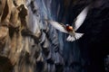 cave swallow mid-flight near stalactites