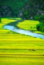 Cave tourist boats in Tam Coc, Ninh Binh, Vietnam Royalty Free Stock Photo