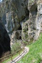 Cave Under Predjama Grad, Slovenia