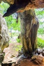 Cave at white cliff cave in Krabi Thailand