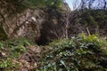 The cave in Yew-boxwood grove in spring in Sochi city, Russia