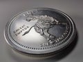 Caveat Emptor Bull and Bear Fine Silver Round - V1
