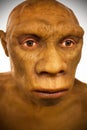 Caveman Model