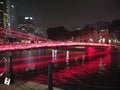 Cavenagh bridge singapore at night