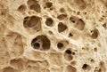 The cavernous globigerina limestone injured by the severe weathering, Malta
