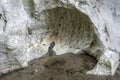 cavernous rock formations in  source of the river Alviela it is possible to watch the water flow. Royalty Free Stock Photo