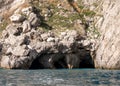 Caves in the cliffs on the island of Capri in the Bay of Naples, Italy. Photographed whilst on a boat trip around the island. Royalty Free Stock Photo