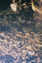 Caves at Natural Bridge