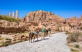 Caves in sandstones, columns and ruins of the ancient Bedouin city of Petra, Jordan