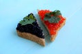 Red and black caviar of fish lies on rye bread