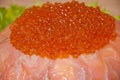 Caviar with red fish - seed or trout on green lettuce salad as side dish. healthy food and culinary. cuisisne. dieting and eating. Royalty Free Stock Photo