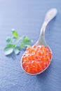 Caviar Royalty Free Stock Photo