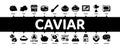 Caviar Seafood Product Minimal Infographic Banner Vector