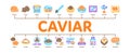 Caviar Seafood Product Minimal Infographic Banner Vector