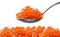 Caviar on a spoon. Salmon Red Caviar. Fish eggs. Raw seafood. Luxury delicacy food. White isolated background. Close up photo. Mac Royalty Free Stock Photo