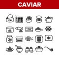 Caviar Tasty Seafood Collection Icons Set Vector