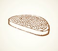 Caviar. Vector drawing