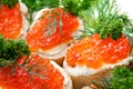 Caviare sandwich Royalty Free Stock Photo