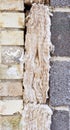 Cavity insulation