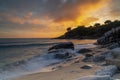 Cavoli Beach on Elba Island at sunset Royalty Free Stock Photo