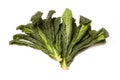 Cavolo Nero an Italian cabbage isolated on white studio background.