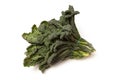 Cavolo Nero an Italian cabbage isolated on white studio background. Royalty Free Stock Photo