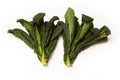 Cavolo Nero an Italian cabbage. Royalty Free Stock Photo