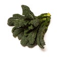 Cavolo Nero an Italian cabbage. Royalty Free Stock Photo