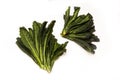 Cavolo Nero an Italian cabbage. Royalty Free Stock Photo