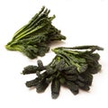 Cavolo Nero an Italian cabbage. Royalty Free Stock Photo