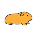 Cavy color icon