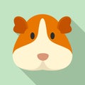 Cavy face icon, flat style