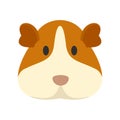 Cavy face icon, flat style