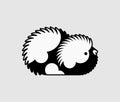 Cavy icon. guinea pig cartoon. vector illustration