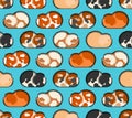 Cavy pattern seamless. guinea pig background. Baby fabric texture